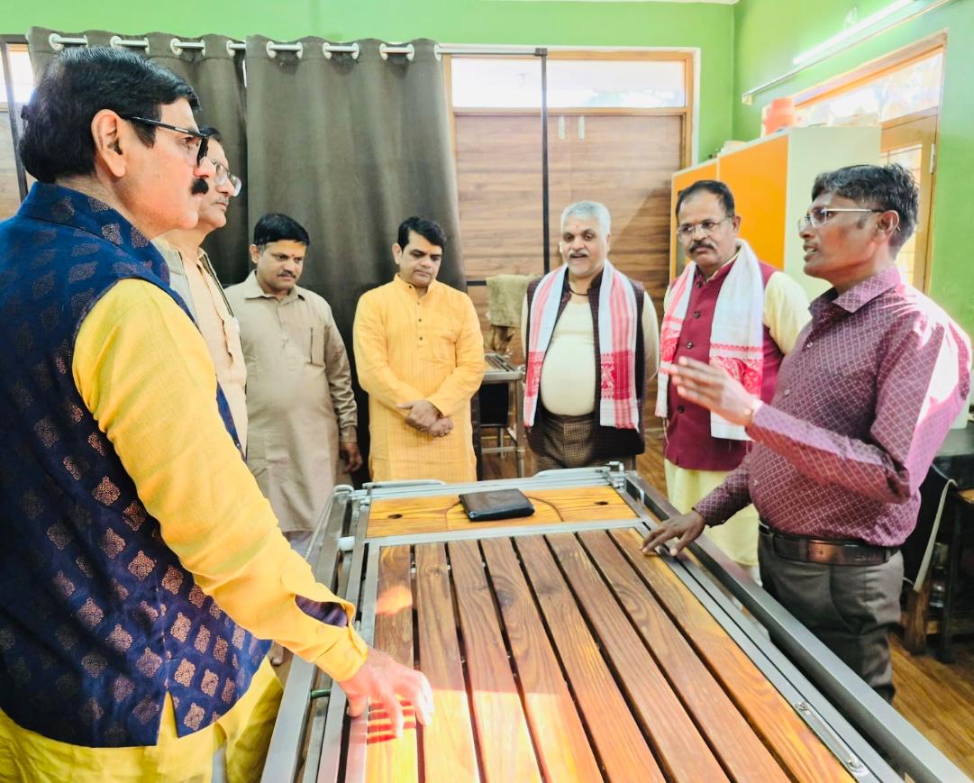 sanskrit bharati activity