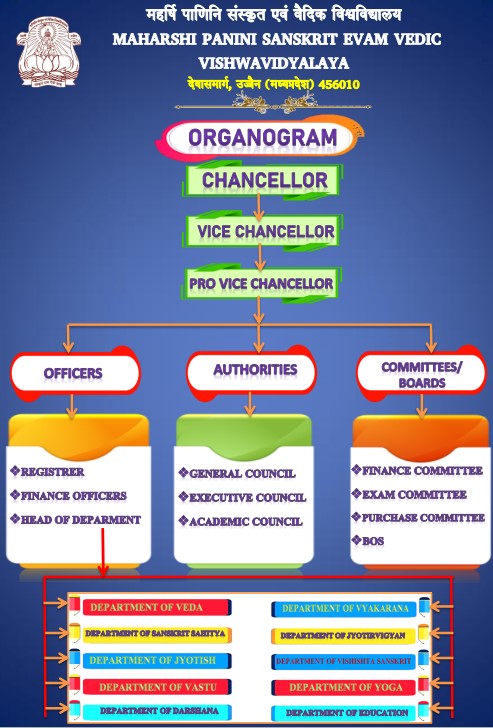 orgnization chart new