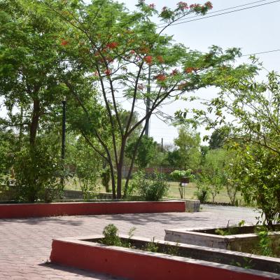 Dsc 0586